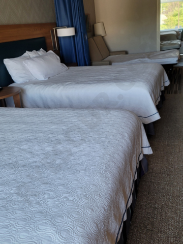2 Queens sized beds and a sofa bed in a studio of hotel Home2 Suites by Hilton Middletown