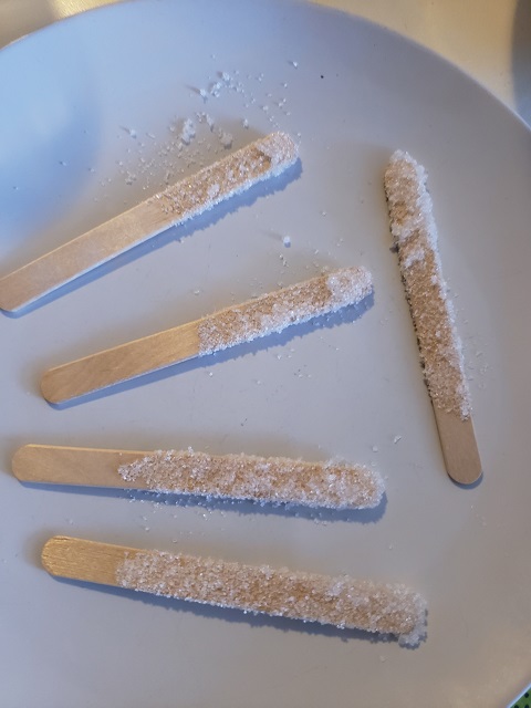 ロックキャンディ実験で砂糖を木製スティックにまぶす