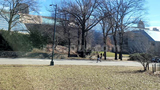 ニューヨークのセントラルパーク　MET メトロポリタン美術館の背後