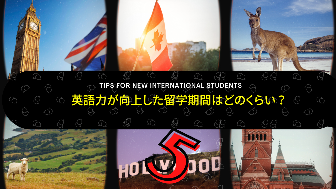 英語力が向上した留学期間はどのくらい？