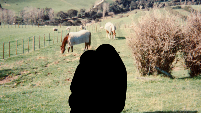 らいさわが短期留学でニュージーランドに行った時の写真　