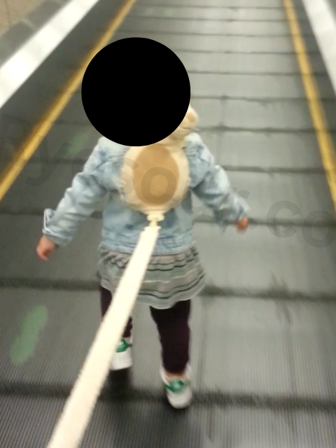 子供用ハーネスを付けて自由に歩く歩道を楽しむ小さな子供